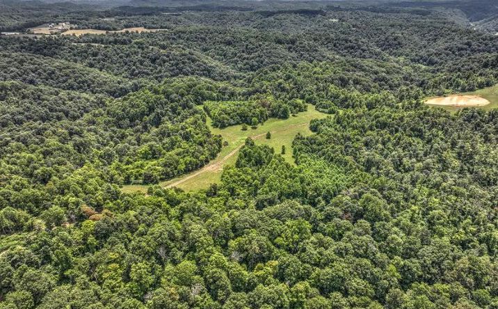 Pictures of Land property located at Tennessee Ridge Rd, Parksville, KY 40464 for sales - image #1