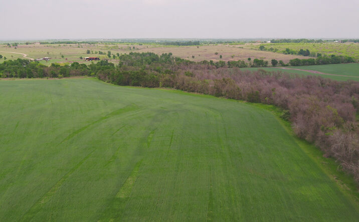 Pictures of Land property located at Co Rd 405c, Buckholts, TX 76518 for sales - image #1