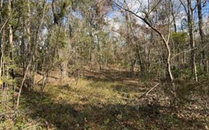 Pictures of Land property located at SW 22nd Pl, Bell, FL 32619 for sales - image #1