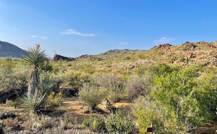 Pictures of Land property located at 53040 S Hwy 118, Terlingua, TX 79852 for sales - image #1