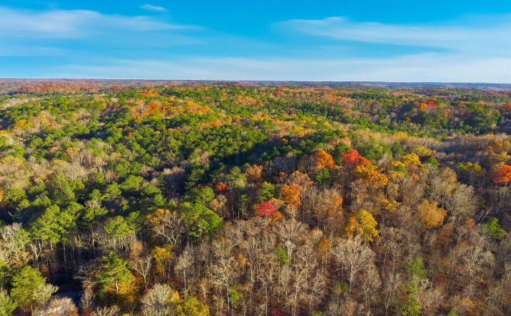 Pictures of Land property located at 10220 Rivertown Rd, Fairburn, GA 30213 for sales - image #1