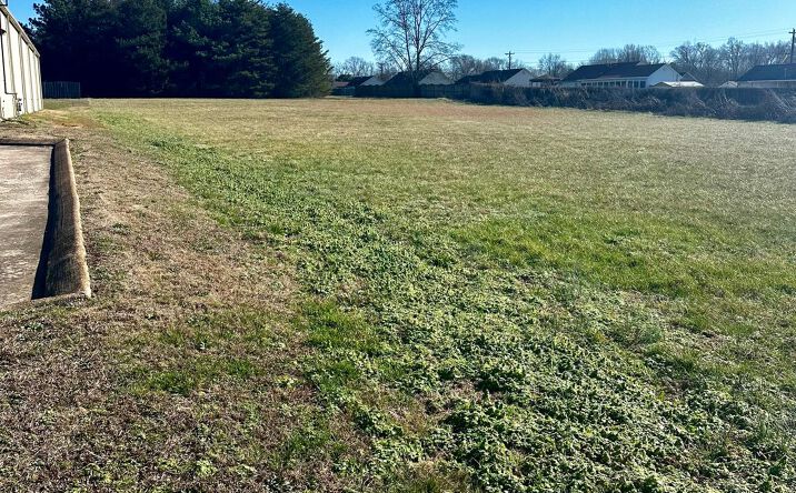 Pictures of Land property located at 3138 Christmasville Rd, Oakfield, TN 38362 for sales - image #1