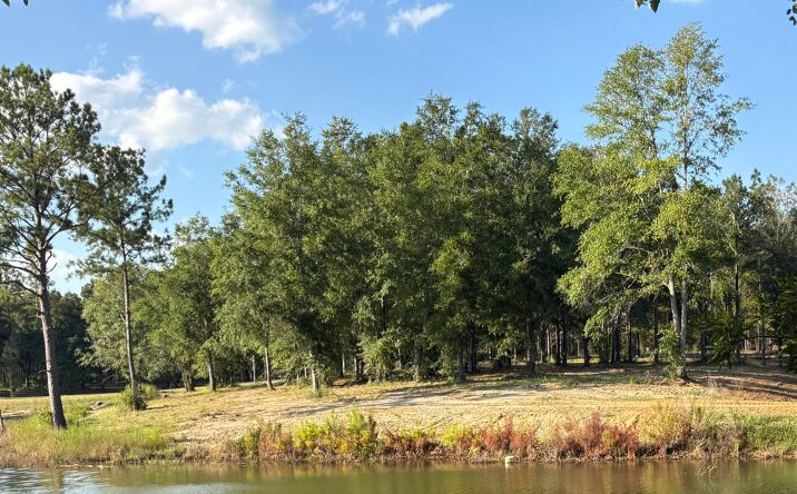 Pictures of Land property located at Sunfish Lane, Agricola, MS 39452 for sales - image #1
