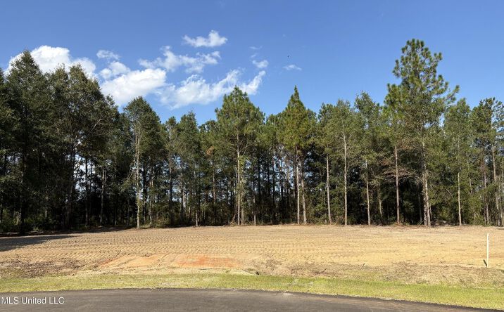Pictures of Land property located at Summerour Rd, Agricola, MS 39452 for sales - image #1