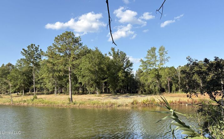 Pictures of Land property located at Summerour Road, Agricola, MS 39452 for sales - image #1