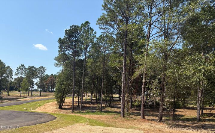 Pictures of Land property located at Sunfish Lane, Agricola, MS 39452 for sales - image #1