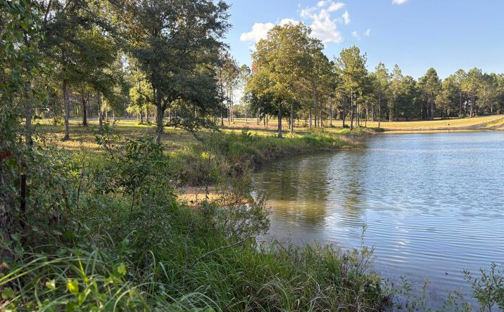 Pictures of Land property located at Shellcracker Drive, Agricola, MS 39452 for sales - image #1