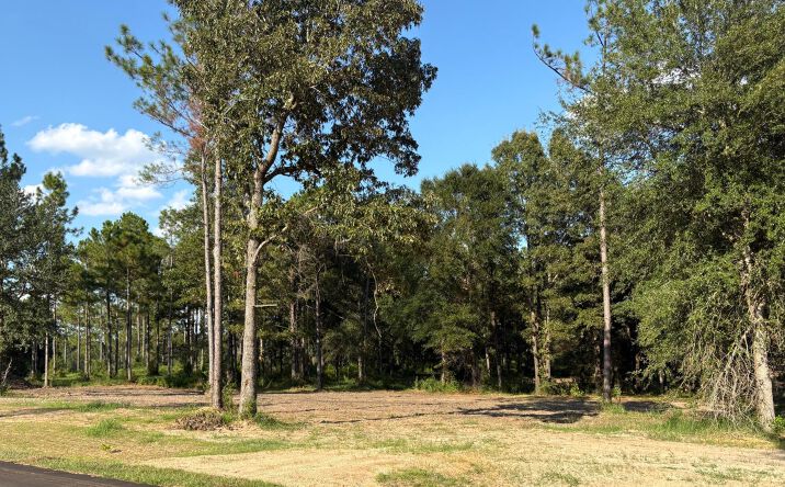 Pictures of Land property located at Sunfish Lane, Agricola, MS 39452 for sales - image #1