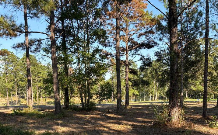 Pictures of Land property located at Shellcracker, Agricola, MS 39452 for sales - image #1