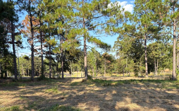 Pictures of Land property located at Shellcracker Dr, Agricola, MS 39452 for sales - image #1