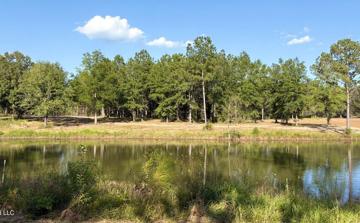 Pictures of Land property located at Sunfish Lane, Agricola, MS 39452 for sales - image #1