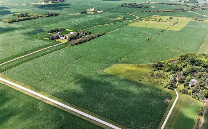 Pictures of Land property located at Tbd County Road 149 Hayfield, Hayfield, MN 55940 for sales - image #1