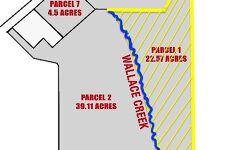 29264066