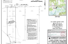 29264304