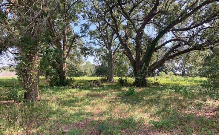 Pictures of Land property located at 2 Rena Rd, Eunice, LA 70535 for sales - image #1