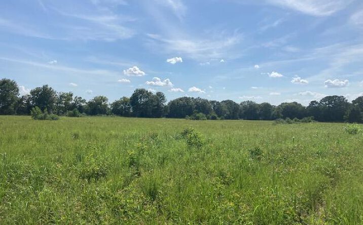 Pictures of Land property located at 1 Rena Rd, Eunice, LA 70535 for sales - image #1