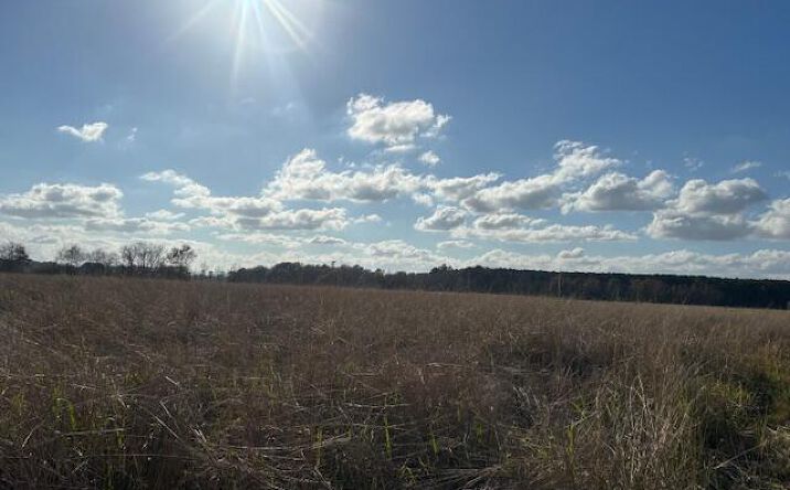 Pictures of Land property located at Ruppert Lake Road 3, Eunice, LA 70535 for sales - image #1