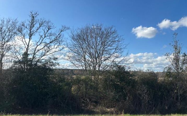 Pictures of Land property located at Ruppert Lake Road 2, Eunice, LA 70535 for sales - image #1
