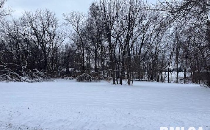 Pictures of Land property located at 218TH Street, Le Claire, IA 52753 for sales - image #1