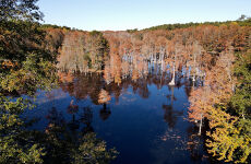 29280627