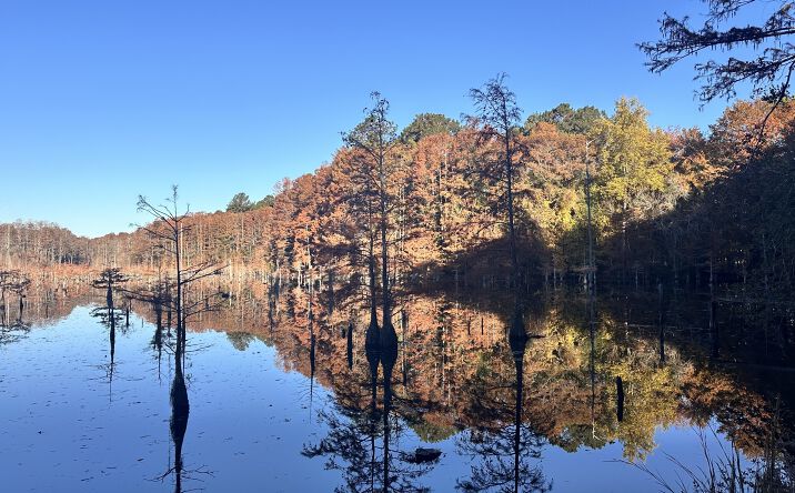 Pictures of Land property located at 0 W Bobo Newsom Hwy, Hartsville, SC 29550 for sales - image #1