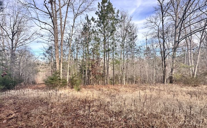 Pictures of Land property located at 0 McGill Rd, Smyrna, SC 29743 for sales - image #1