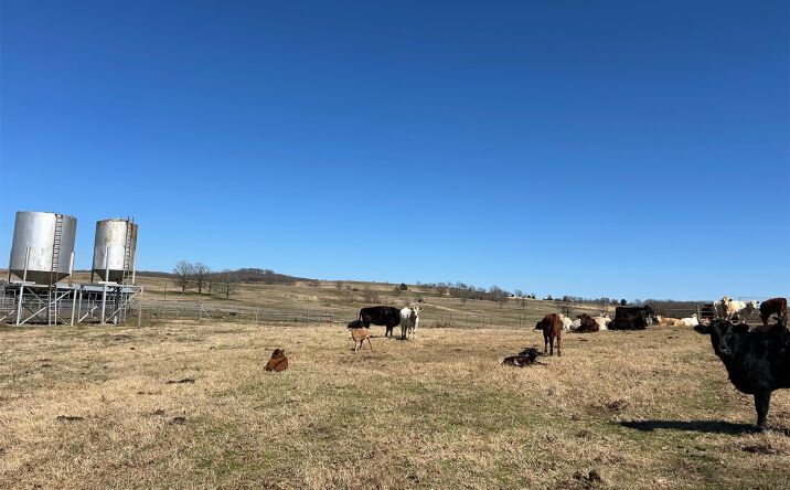 Pictures of Land property located at 461296 E 1001 Road, Sallisaw, OK 74955 for sales - image #1