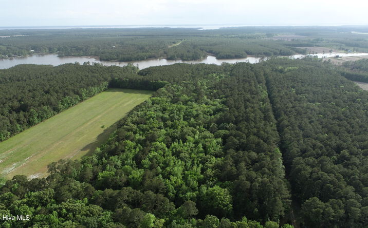 Pictures of Land property located at 0 Sr 1722 Off, Bath, NC 27808 for sales - image #1