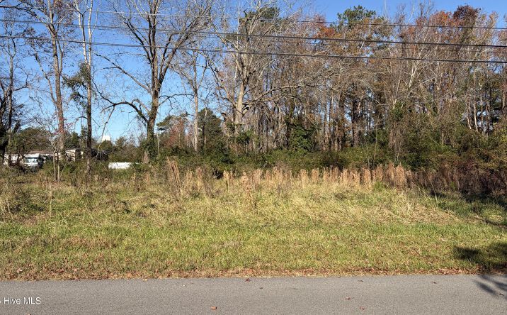 Pictures of Land property located at 0 Railroad Street, Belhaven, NC 27810 for sales - image #1