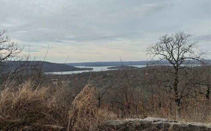 Pictures of Land property located at 21 E Timbercrest Drive, Cookson, OK 74427 for sales - image #1