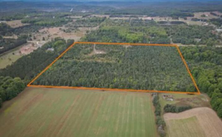 Pictures of Land, Special Purpose property located at 2554 Lee Derrer Road, Mancelona, MI 49659 for sales - image #1