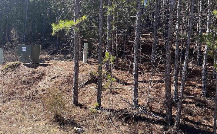 Pictures of Land property located at Lot 1 Blk 2 Alyson Ave, Fort Payne, AL 35968 for sales - image #1