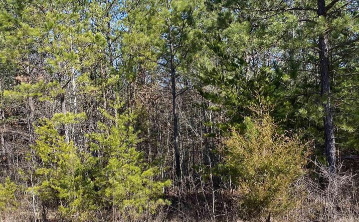 Pictures of Land property located at Lot 4 1st Add Alyson Ave, Fort Payne, AL 35968 for sales - image #1