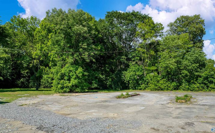 Pictures of Land property located at Lot 17-20 Cleveland Ave, Attalla, AL 35954 for sales - image #1