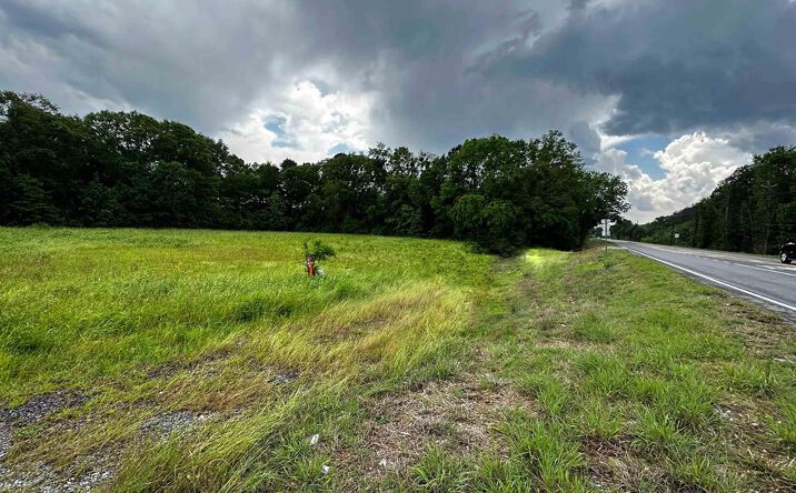 Pictures of Land property located at 12690 Us Highway 78, Riverside, AL 35135 for sales - image #1