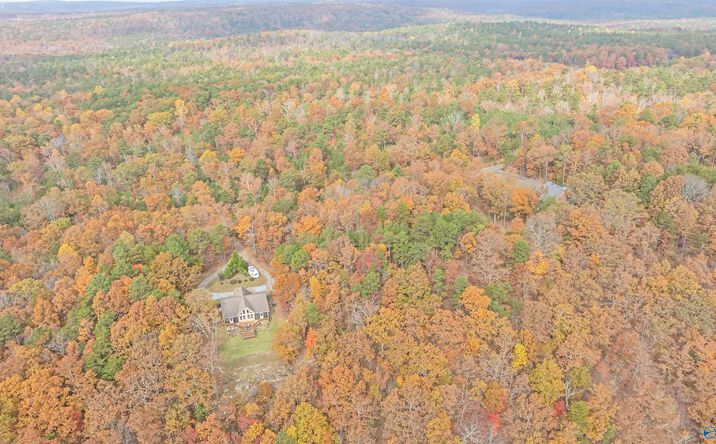 Pictures of Land property located at Lot 67 County Road 103, Mentone, AL 35984 for sales - image #1