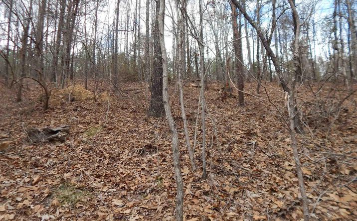 Pictures of Land property located at Faith School Rd, Lake View, AL 35111 for sales - image #1