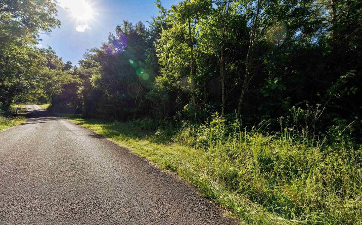 Pictures of Land property located at 4 Acres Wills Creek Rd, Fort Payne, AL 35968 for sales - image #1