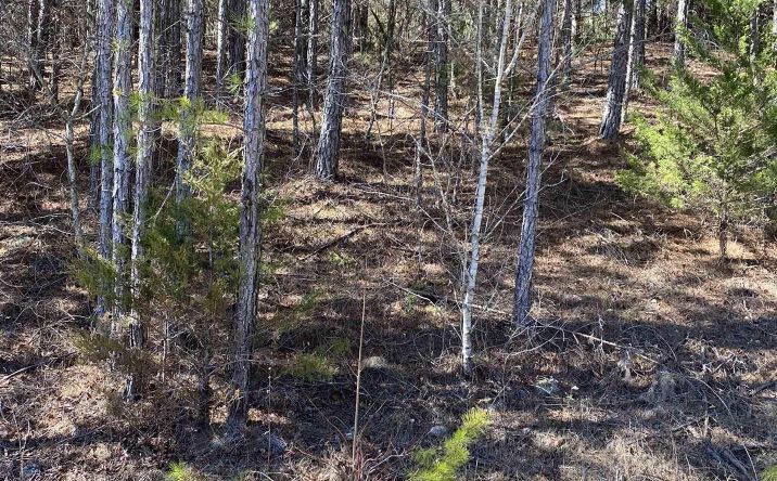 Pictures of Land property located at Lot 3 Blk 2 Alyson Ave, Fort Payne, AL 35968 for sales - image #1