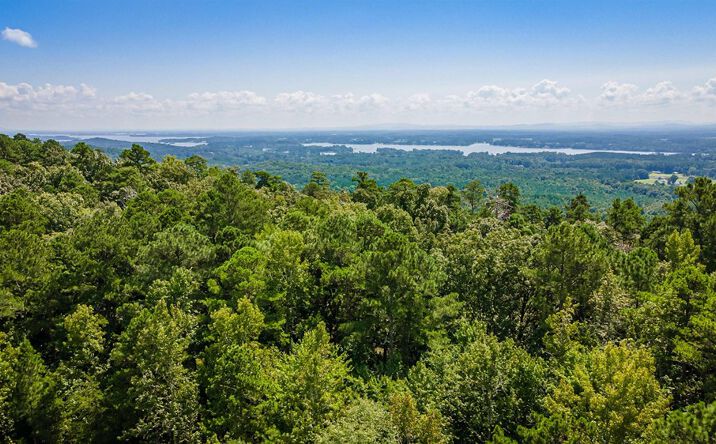 Pictures of Land property located at 78 Cruickshank Ln, Sand Rock, AL 35983 for sales - image #1