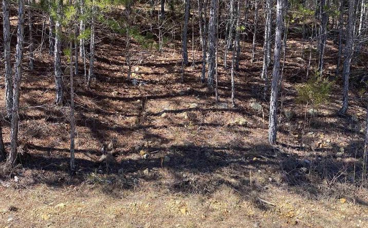 Pictures of Land property located at Lot 1 Blk 2 Alyson Ave, Fort Payne, AL 35968 for sales - image #1