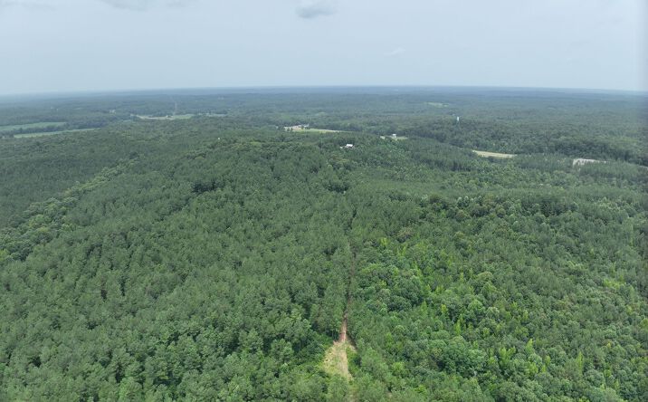 Pictures of Land property located at Hornsby Fire Tower Property, Hornsby, TN 38044 for sales - image #1