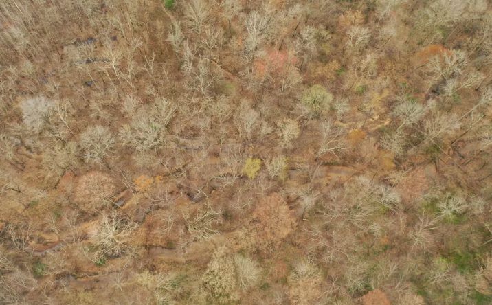 Pictures of Land property located at Clover Creek Hunting Ground, Hornsby, TN 38044 for sales - image #1