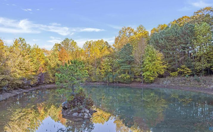 Pictures of Land property located at 10 .57 Acres County Road 166, Fort Payne, AL 35967 for sales - image #1