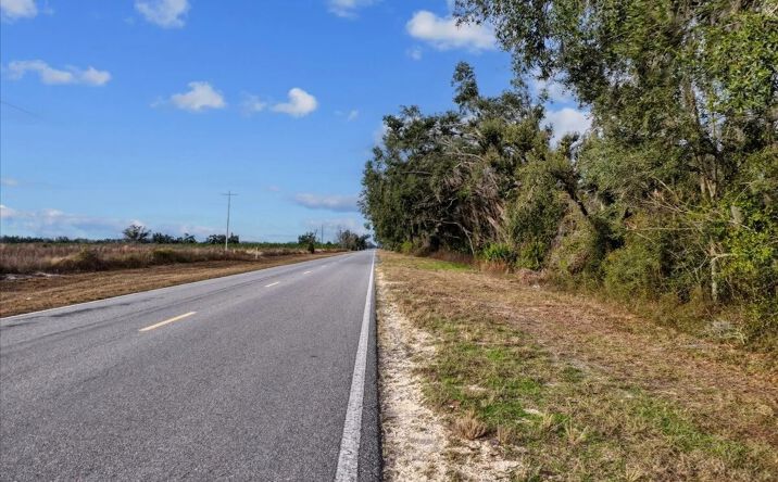 Pictures of Land property located at Vacant S CR 53, Lee, FL 32059 for sales - image #1