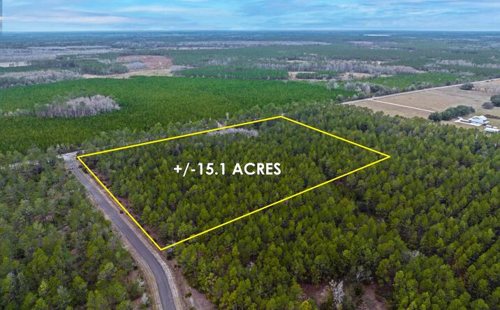 Pictures of Land property located at TBD NE County Road 1469, Earleton, FL 32631 for sales - image #1