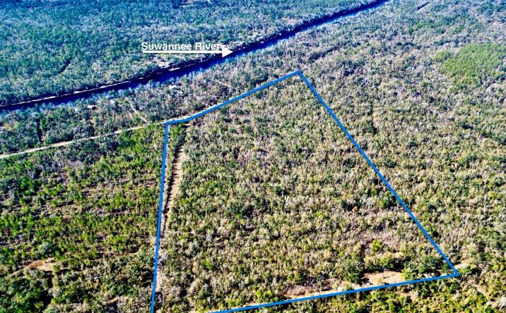 Pictures of Land property located at Vac. 229th Dr, Live Oak, FL 32060 for sales - image #1