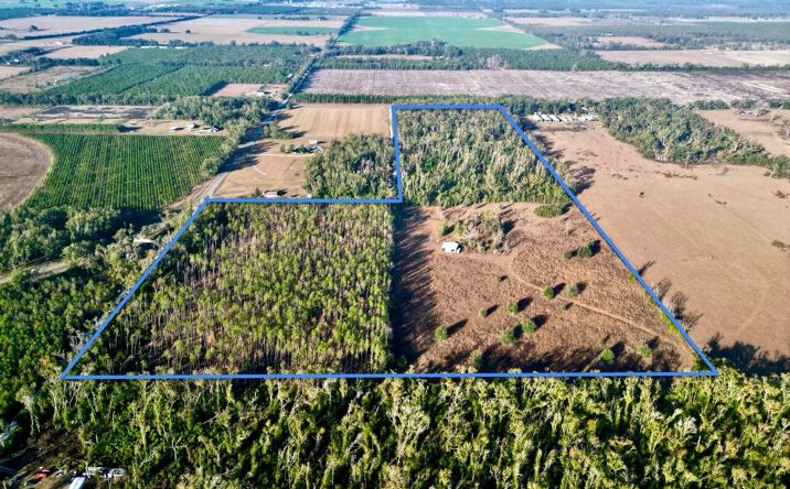 Pictures of Land property located at 423 NW Keystone Dr, Mayo, FL 32066 for sales - image #1