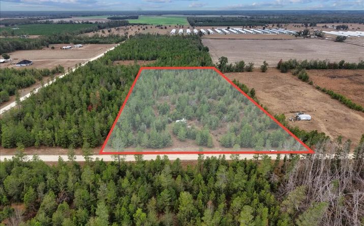 Pictures of Land property located at Vacant NE Lily Ave., Lee, FL 32059 for sales - image #1