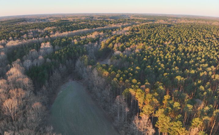 Pictures of Land property located at The Perry Place, Rienzi, MS 38865 for sales - image #1